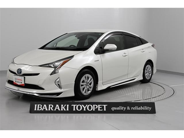 ȥ西 ץꥦ ӥեƥץ饹Ͳ򥷥ƥࡡ