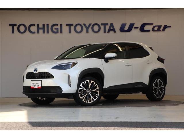 【栃木県内または隣接県在住で、ご来店いただける方への販売とさせていただき