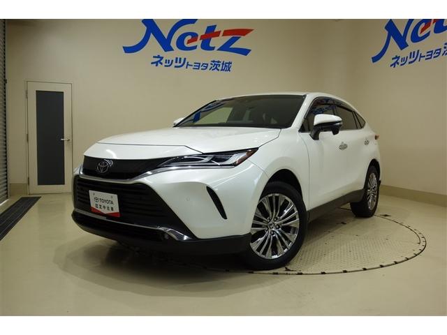 ȥ西 ϥꥢ ڡǥץ쥤ǥʥӡե륻ԣ֥֡롼ȥ