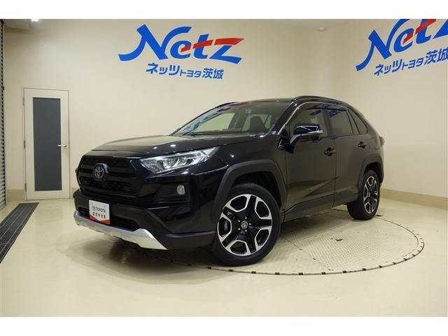 ȥ西 ң֣ ɥ٥㡼ʥӡե륻ԣ֥֡롼ȥ