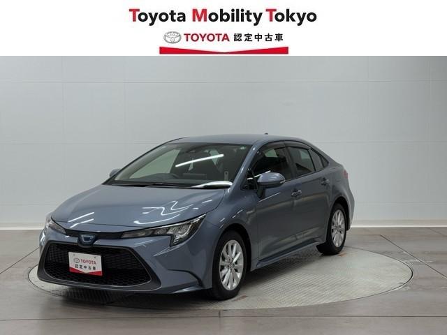 ȥ西  ϥ֥åɡӡͷڸʥ