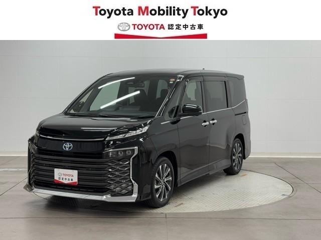 ȥ西  ϥ֥åɣӡݣڡѥɥģ֣ĺǽƥꥭ