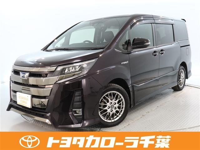 ȥ西 Υ ϥ֥åɣӣ顡ǯ̵ݾڡͲﳲڸæǽ