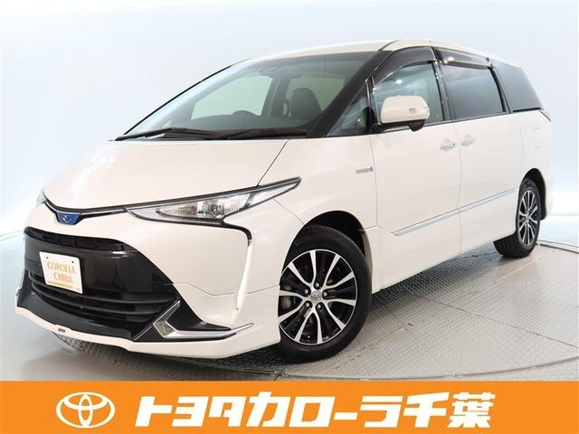 ȥ西 ƥޥϥ֥å 饹ץߥݣǡǯ̵ݾڡͲﳲڸ