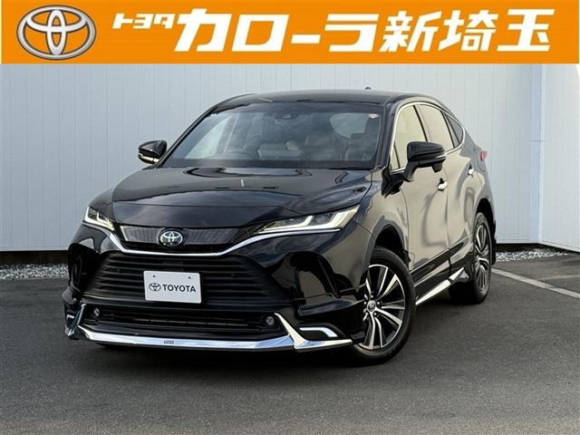 ȥ西 ϥꥢϥ֥å ǡͷڸ̣ţġߥۥ