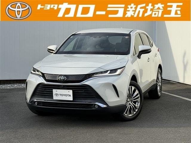 ȥ西 ϥꥢ ڡ쥶ѥåޥɻ