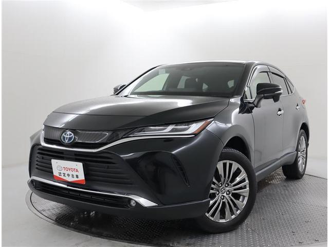 ȥ西 ϥꥢϥ֥å ڡե륻꡼ʥӡߥ塼åץ쥤䡼³