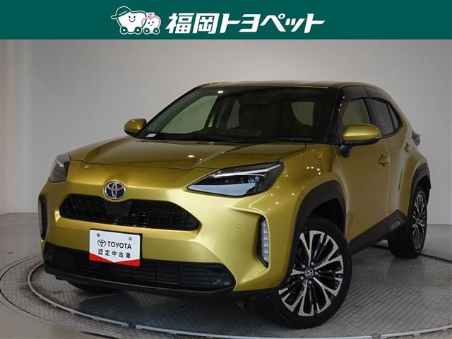 ʡ߽ΤߤؤǤڣ ͵Υѥȣӣգ֡Σڡֻ¿ϥ˥դ 1