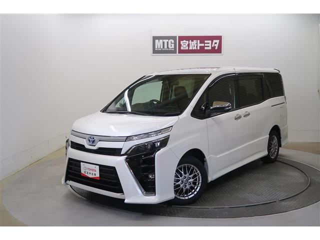 ȥ西  ϥ֥åɣڣӡɣɣɡﳲڸƥࡡʥӡԣ