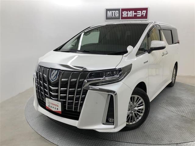 եɥϥ֥å ӡﳲڸƥࡡףġʥӡԣ 0900440A20251101T005 1