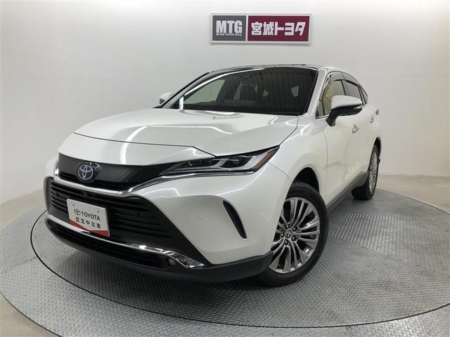 ϥꥢϥ֥å ڡ쥶ѥåץȡ롼 0902207A20251101T002 1