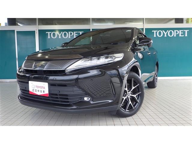 ȥ西 ϥꥢ ץߥࡡΥ롡ե륻꡼ʥ