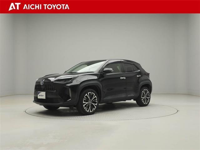 アウトレット車です。