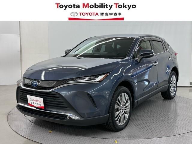 ȥ西 ϥꥢϥ֥å ڡ쥶ѥåʥӣԣ֡ãŸ