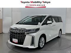 ȥ西եɡӡξ¦ưѥ饤ɥɥץ󡡥ե륪ȥ