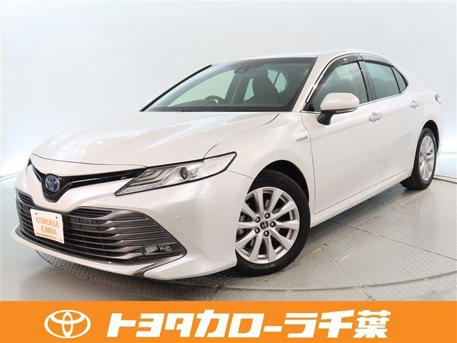 J(g^) f@PNԑsۏ؁@y_݊ԈႢ@ՓˉQy@ԐEx@\@ir@tZOsu@obNJ@hCuR[_[@dsb@N[YRg[@kdcwbhCg@cucĐ Îԉ摜