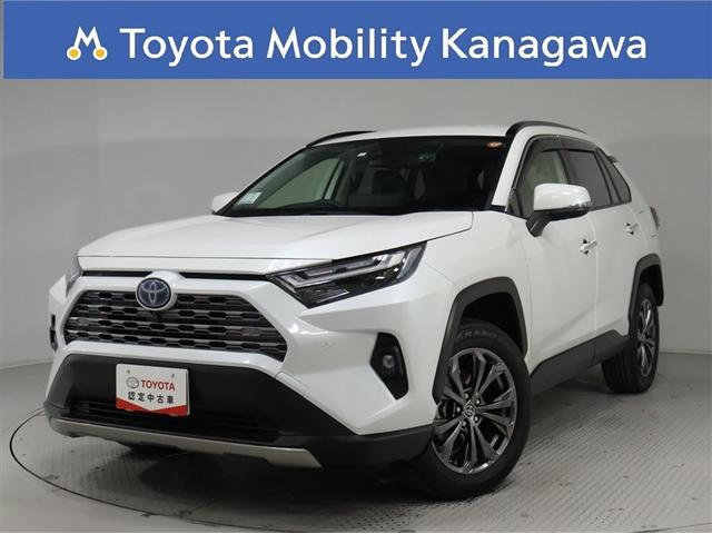 ǧż֡⳰쥤ʶر󥪡ʡ ϥ˥֥饤ɥ˥ѥХåɥץ󽼼¡ 1