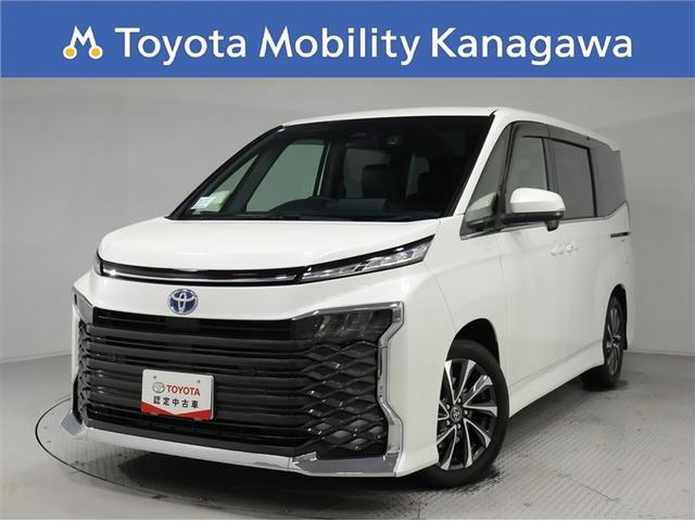 ߤξ¦ѥ饤ɥɥģʥӡʥǥץ쥤 1