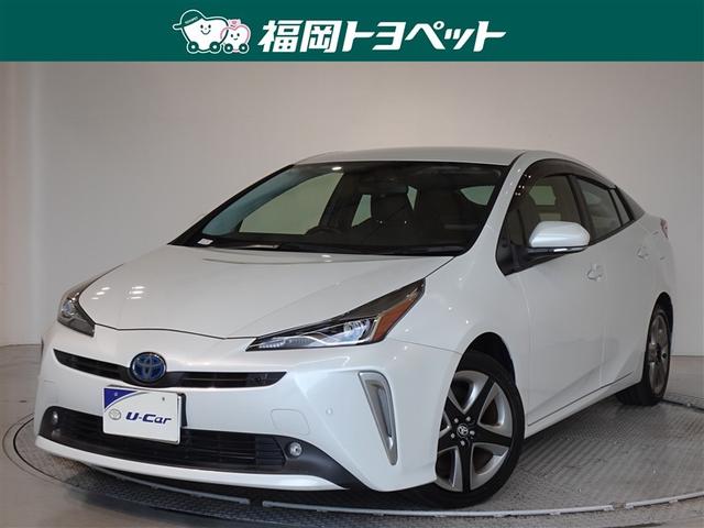 ʡ߽ΤߤؤǤڣ ȥ西Σȣţ֡ݡƥʥץꥦ쥶Ȥξƥꥢ 1