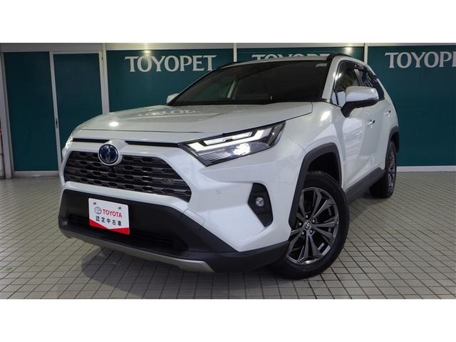 ȥ西 ң֣ ϥ֥åɣǡףġե륻꡼ʥ