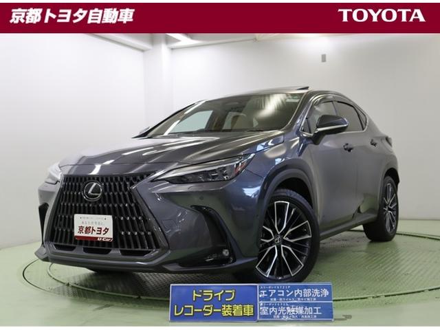 ڼָաۣ̣ӣӡɥ쥳ģʥӡ̥顦ȥҡ 1