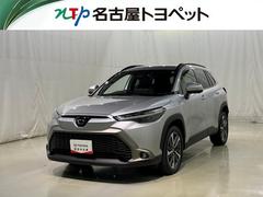 ȥ西饯ڡﳲڸƥࡡե륻Хå