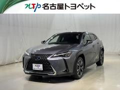 UX UX250h バージョンC 衝突被害軽減システム メモリーナビ フルセグ バックカメラ ETC ドラレコ CD ミュージックプレイヤー接続可 DVD再生 電動シート オートクルーズコントロール LEDヘッドランプ スマートキー 中古車画像