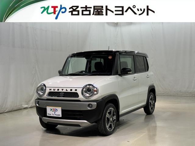  ϥ顼 ϥ֥åɣءﳲڸƥࡡ꡼ʥӡե륻