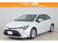 ȥ西顡ϥ֥åɡӡ꡼ʥӡߥ塼åץ쥤䡼³