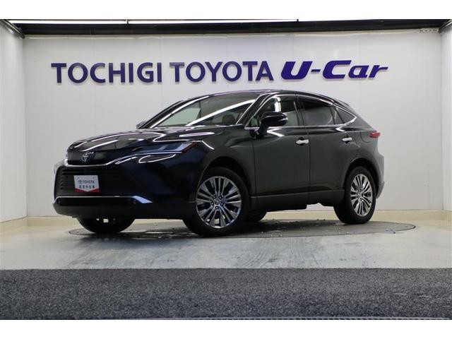 ڸޤܸ߽ǡŹؤȤƤ 1