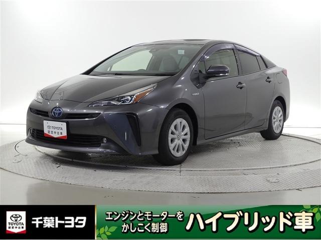 ǧż֡ͽɰե륻ԣ֡꡼ʥӡХå˥ 1