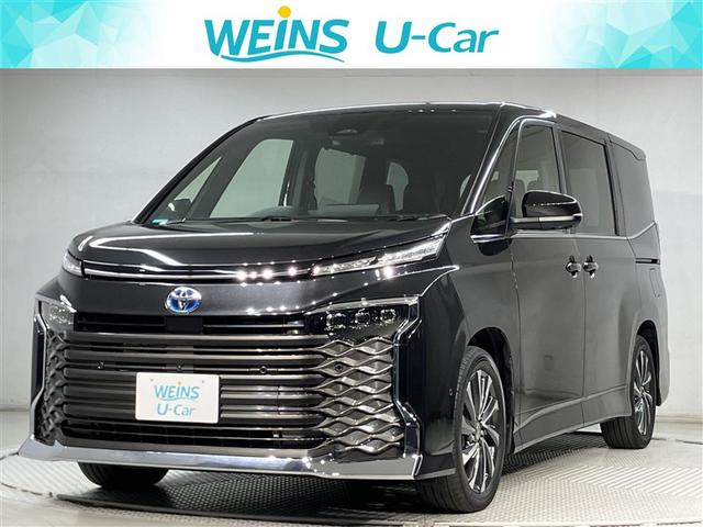 ȥ西  ϥ֥åɣӡݣڡѥɥģ֣ĺǽƥꥭ