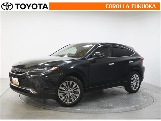 ȥ西 ϥꥢϥ֥å ڡ쥶ѥåﳲڸƥࡡ꡼ʥ