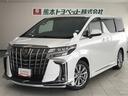 【トヨタ認定中古車】広々とした室内と上質な乗り心地が魅力☆家族との大切な