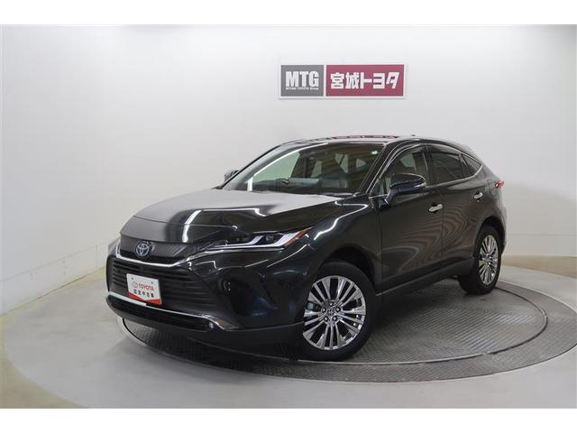 ϥꥢϥ֥å ڡףġե륻꡼ʥ 0902204A20251105T002 1