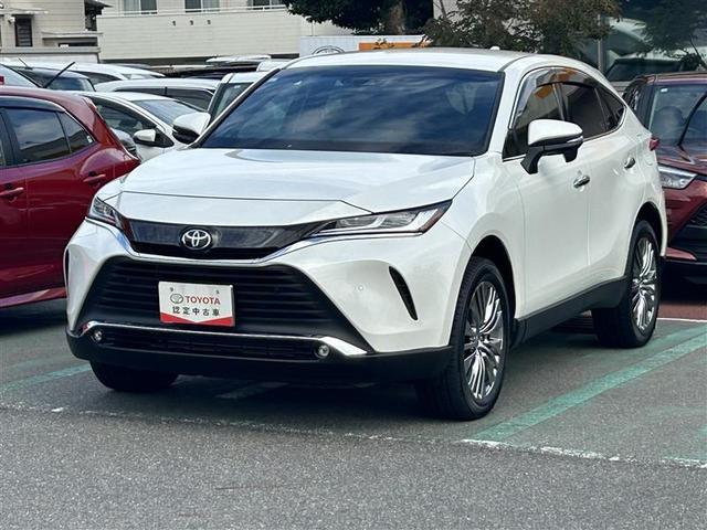 ϥꥢ ڡե륻꡼ʥӡХå 1000350A20251105T001 1