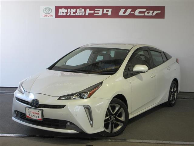 ȥ西 ץꥦ ӥġ󥰥쥯󡡥Хåϥǥ¥