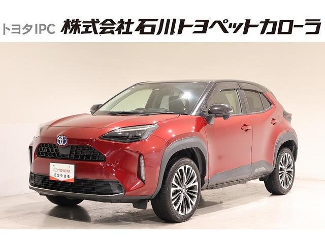 £ӣ̣͡ţĥإåɥס롼ȥ롡žʥѥȡ 1