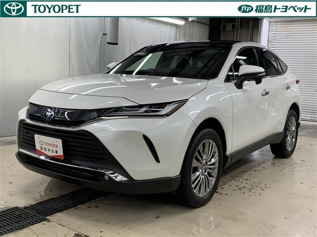 ȥ西 ϥꥢϥ֥å ڡ롼աե륻꡼ʥ