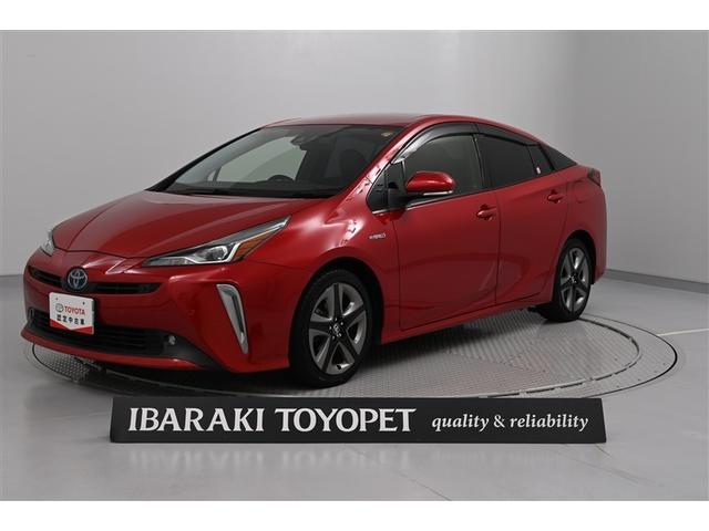 ȥ西 ץꥦ ӥġ󥰥쥯󡡥Хåϥǥ¥