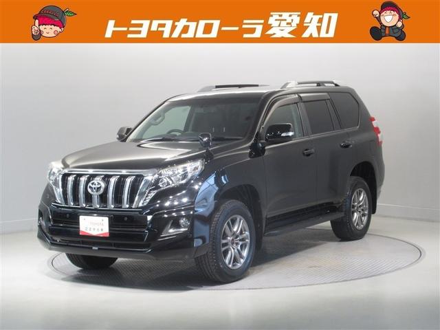 ȥ西 ɥ롼ץ ԣء̥ѥåץȡף