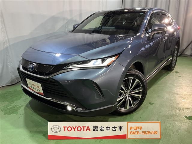 ȥ西 ϥꥢϥ֥å ǡףġߥ塼åץ쥤䡼³ġХå