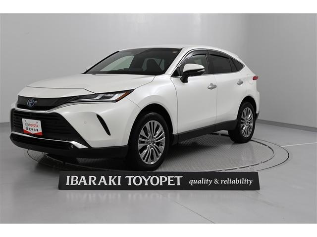 ȥ西 ϥꥢϥ֥å ڡ쥶ѥåϥǥɻ