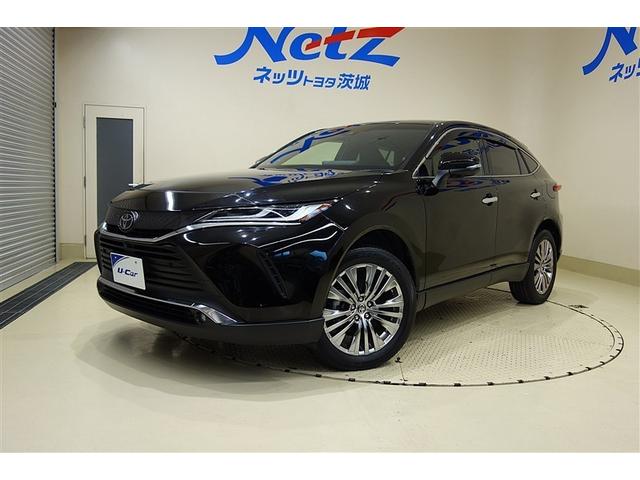 ȥ西 ϥꥢ ڡǥץ쥤ǥʥӡ֥롼ȥե륻ԣ