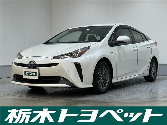 ȥ西 ץꥦ ͷڸ֥졼ƥࡡ¥˥Ͽͭ