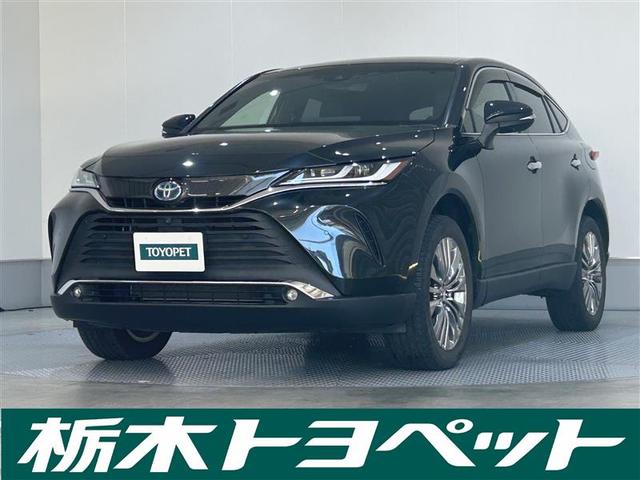 饤оݼ֡ڸ⡢ܻĮ¼ˤޤǡҤˤŹǽ 1