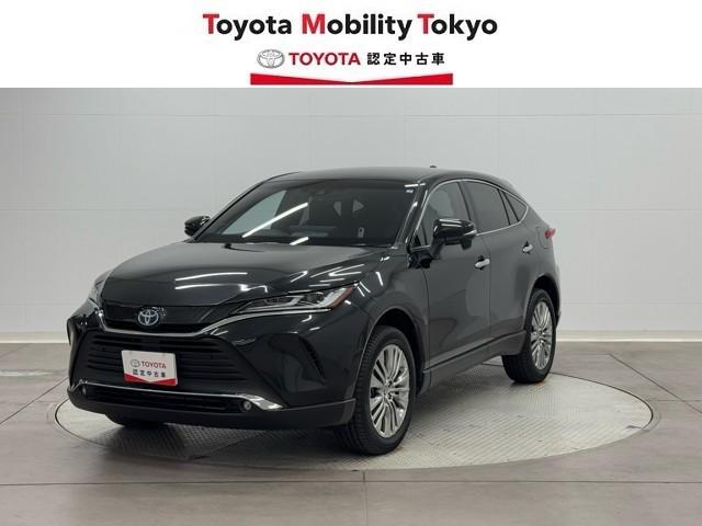 ȥ西 ϥꥢϥ֥å ڡãŸϾǥ롡ﳲڸ