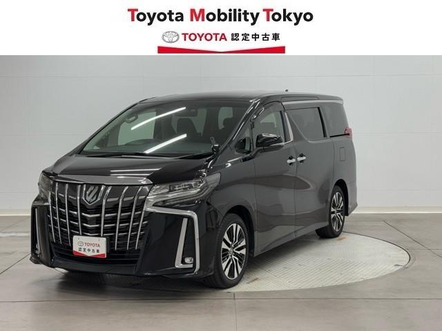 ȥ西 ե ӡåѥåξưɥ¥˥