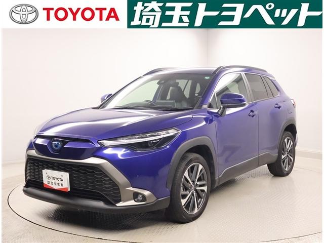 Ͽ̾ͤܿͤΤŹ˸¤餻ĺޤ ȥ西ǧż֡Ȭץ饹ŲޤǤˤʤޤ 1