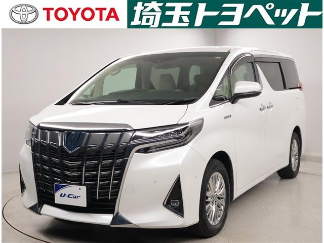 ȥ西 եɥϥ֥å ǡƥѥå¥˥ȥ롼ȥ